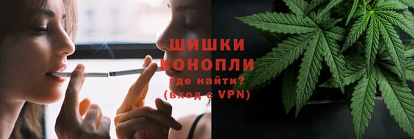 трава Алзамай